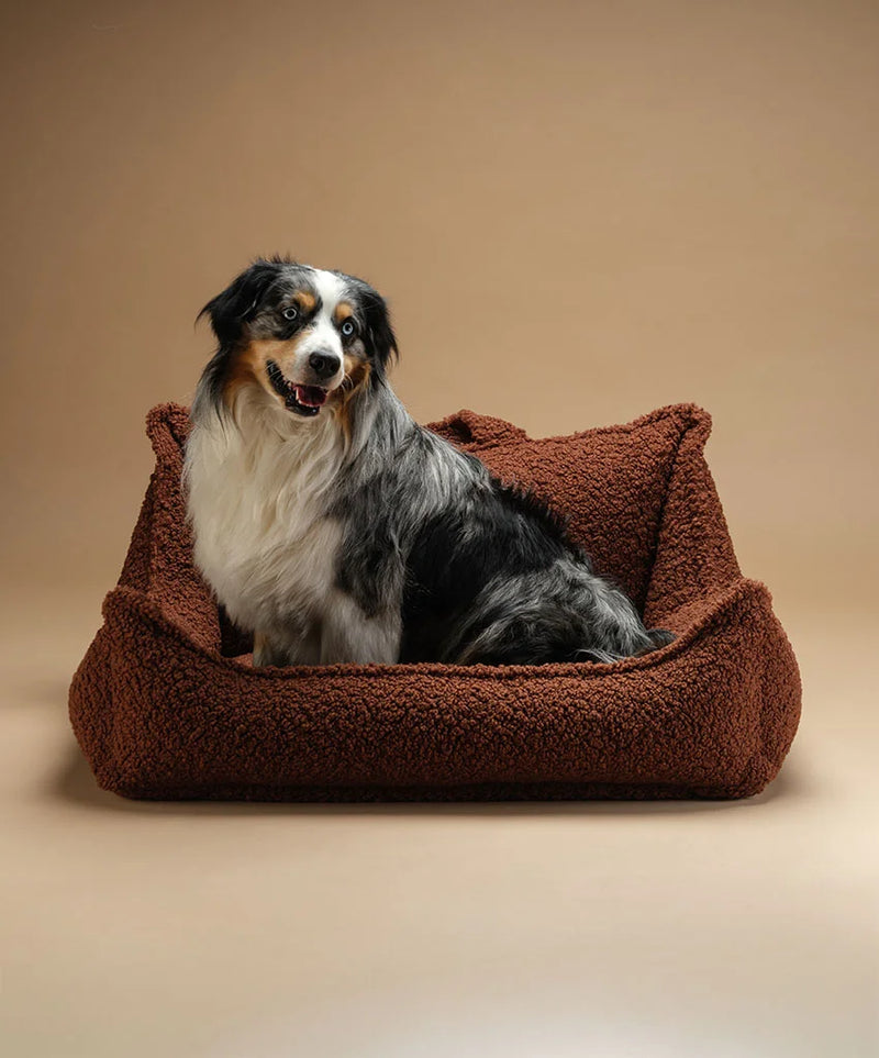 Pet Club Chair