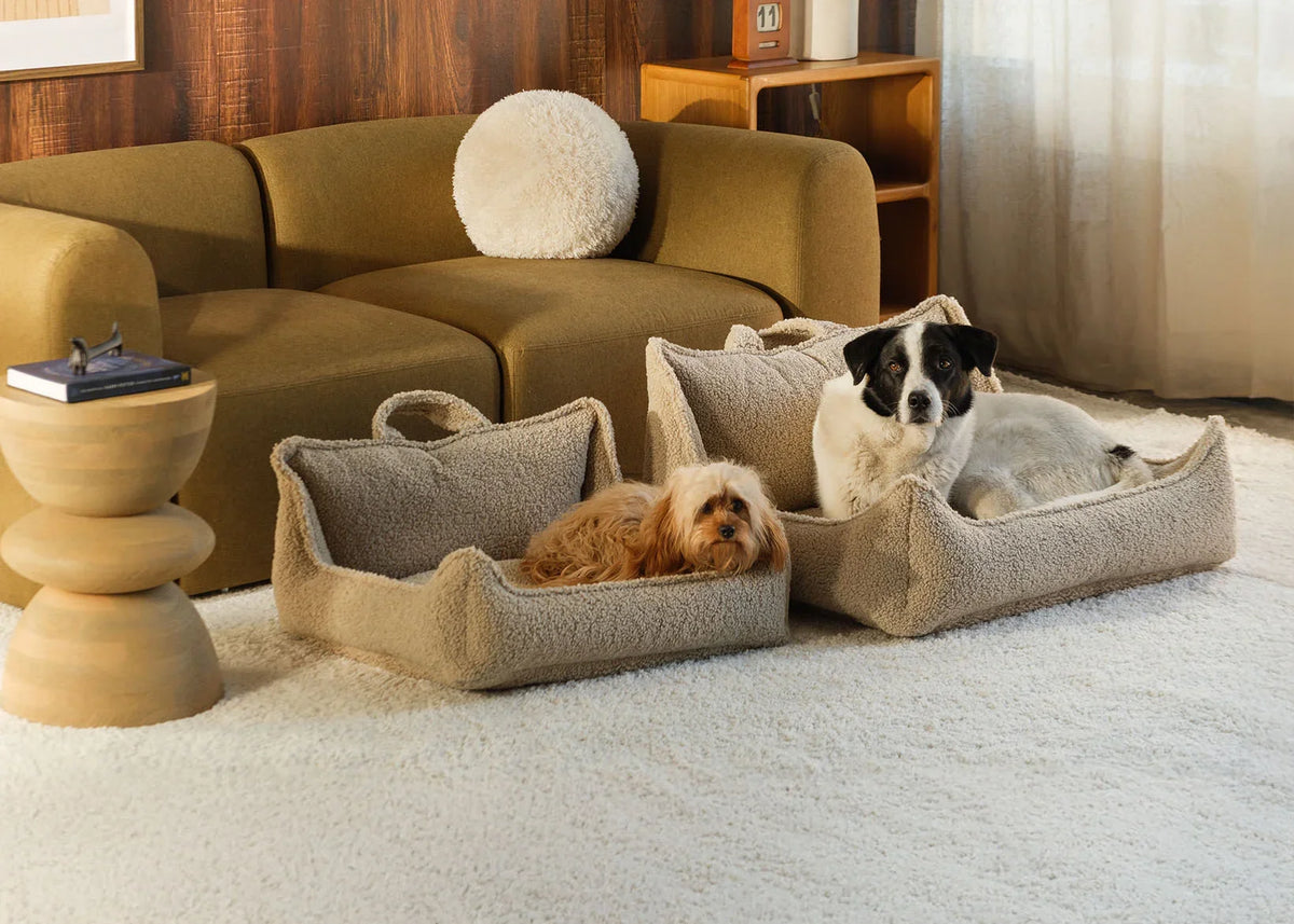 Pet Beds