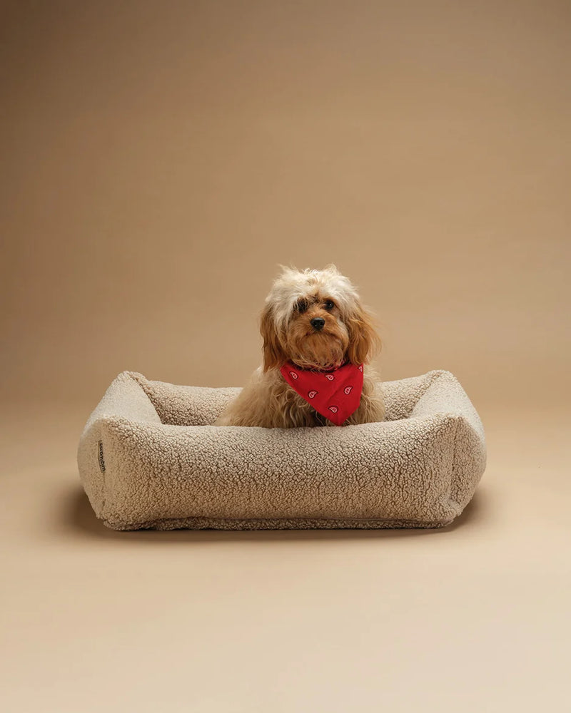 Pet Snuggle Bed